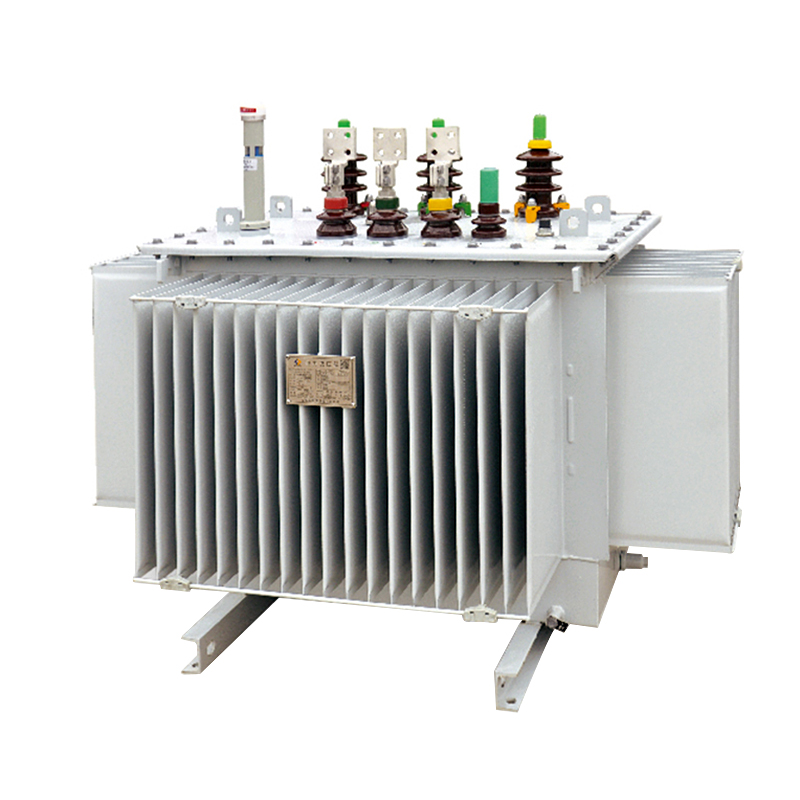 10KV S20 oil immersed transformer